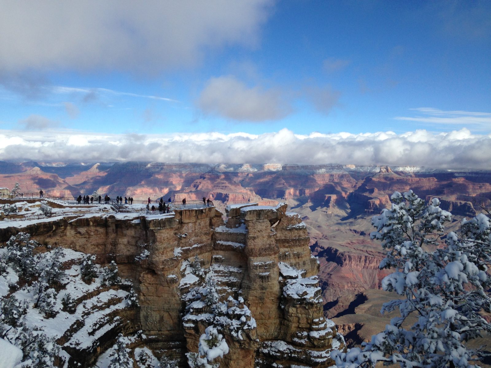 Grand Canyon Snow on rim