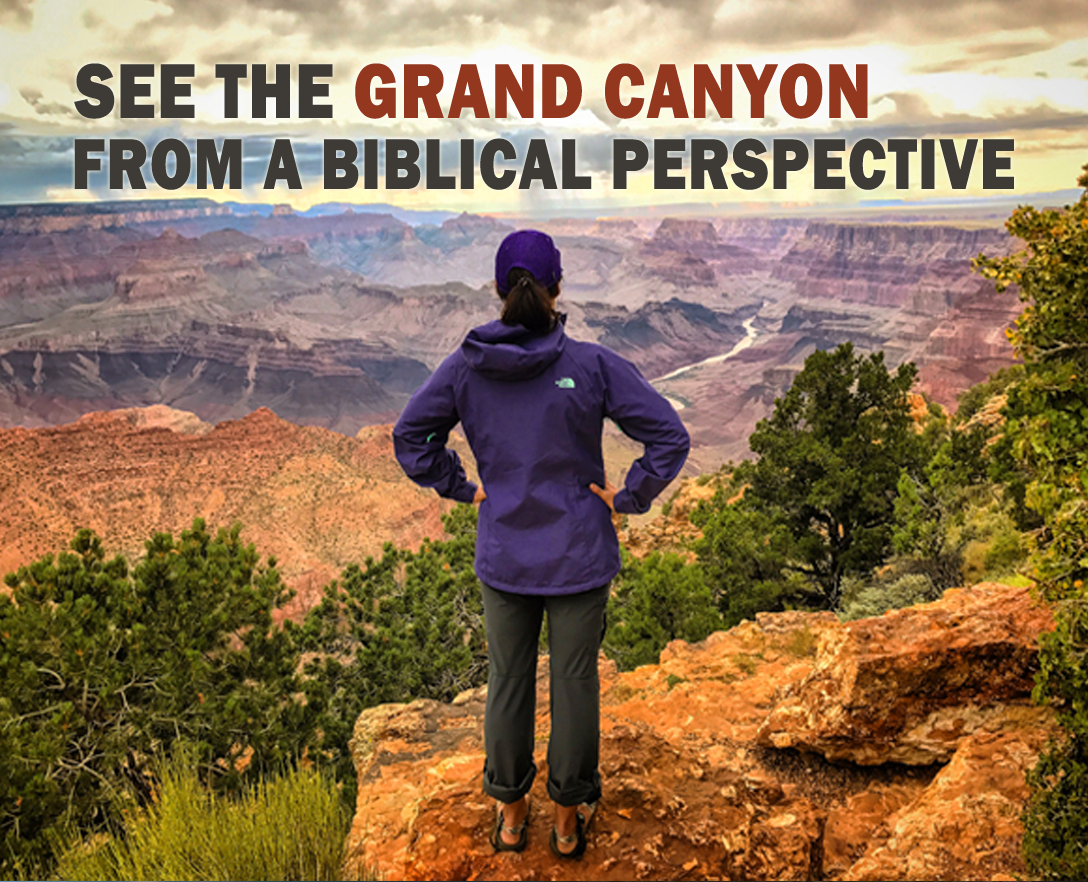 See the Grand Canyon Daily Tours