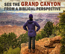 grand canyon tours