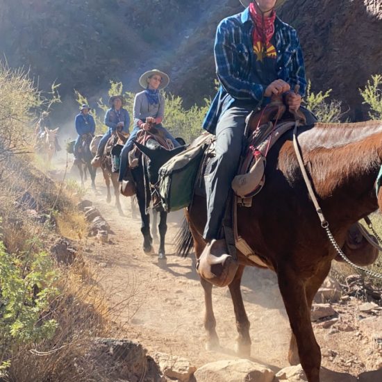 Grand Canyon Mule Rides