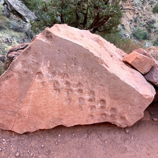 Supai Fossil Trackways on the Bright Angel Trail