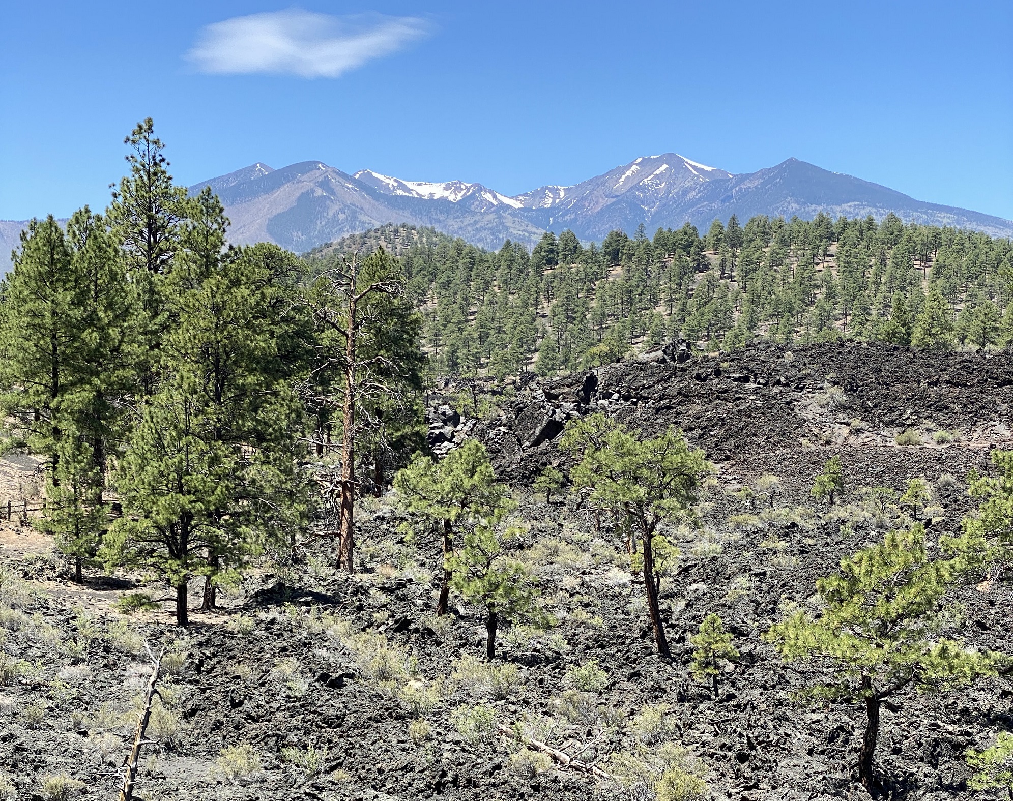 Sunset Crater Lava Flow and San Francisco Peaks