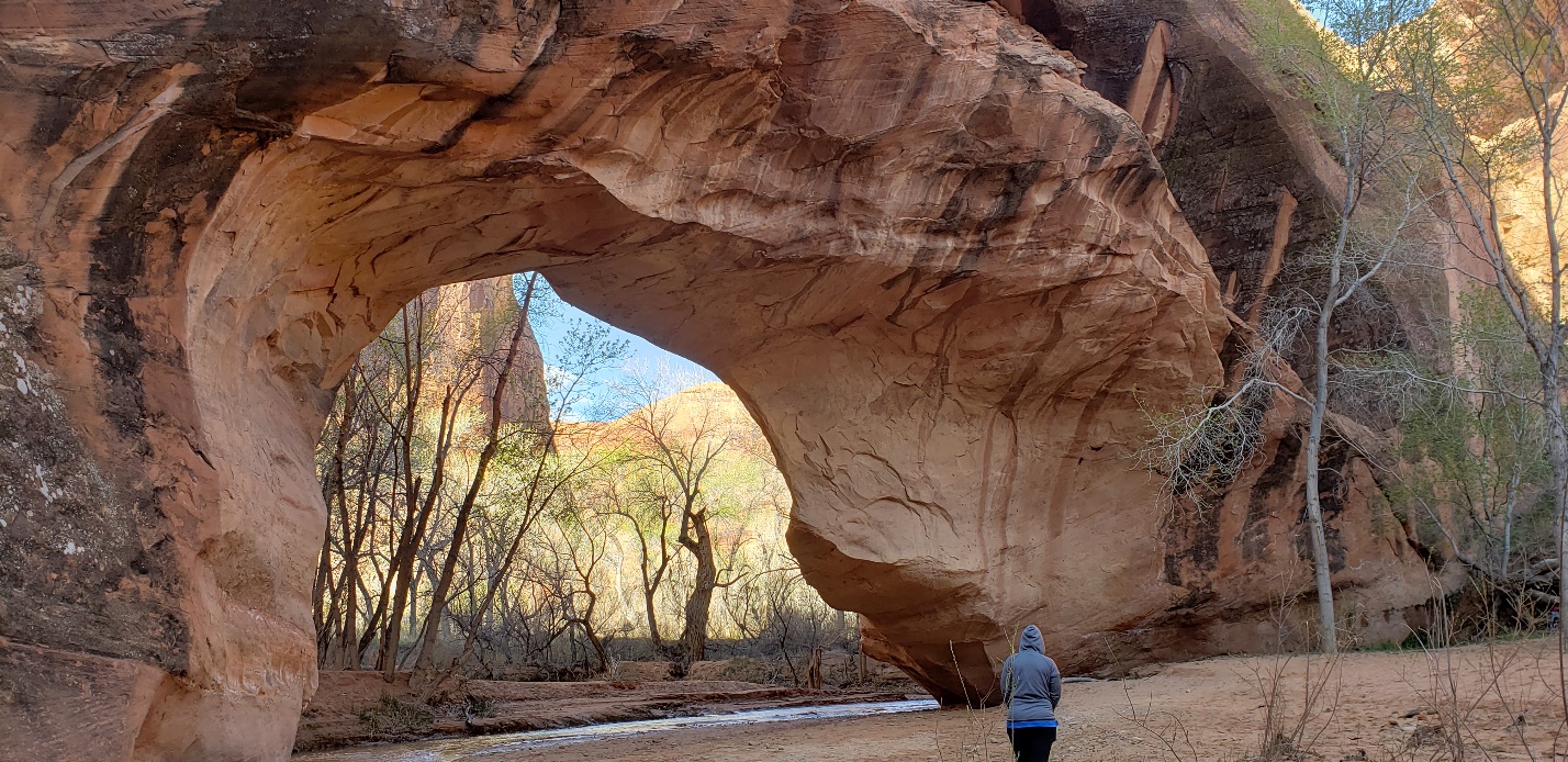 Backpacking Coyote Gulch