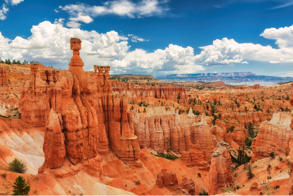 Bryce Canyon Hoodoos